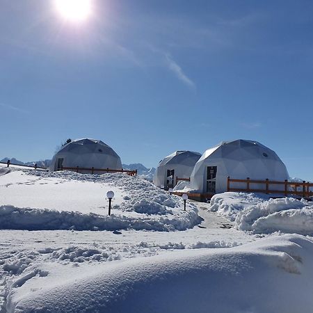 Glamping Pasieka Namiot Glamp Bukowina Tatrzanska - Domki W Gorach Groń Kültér fotó
