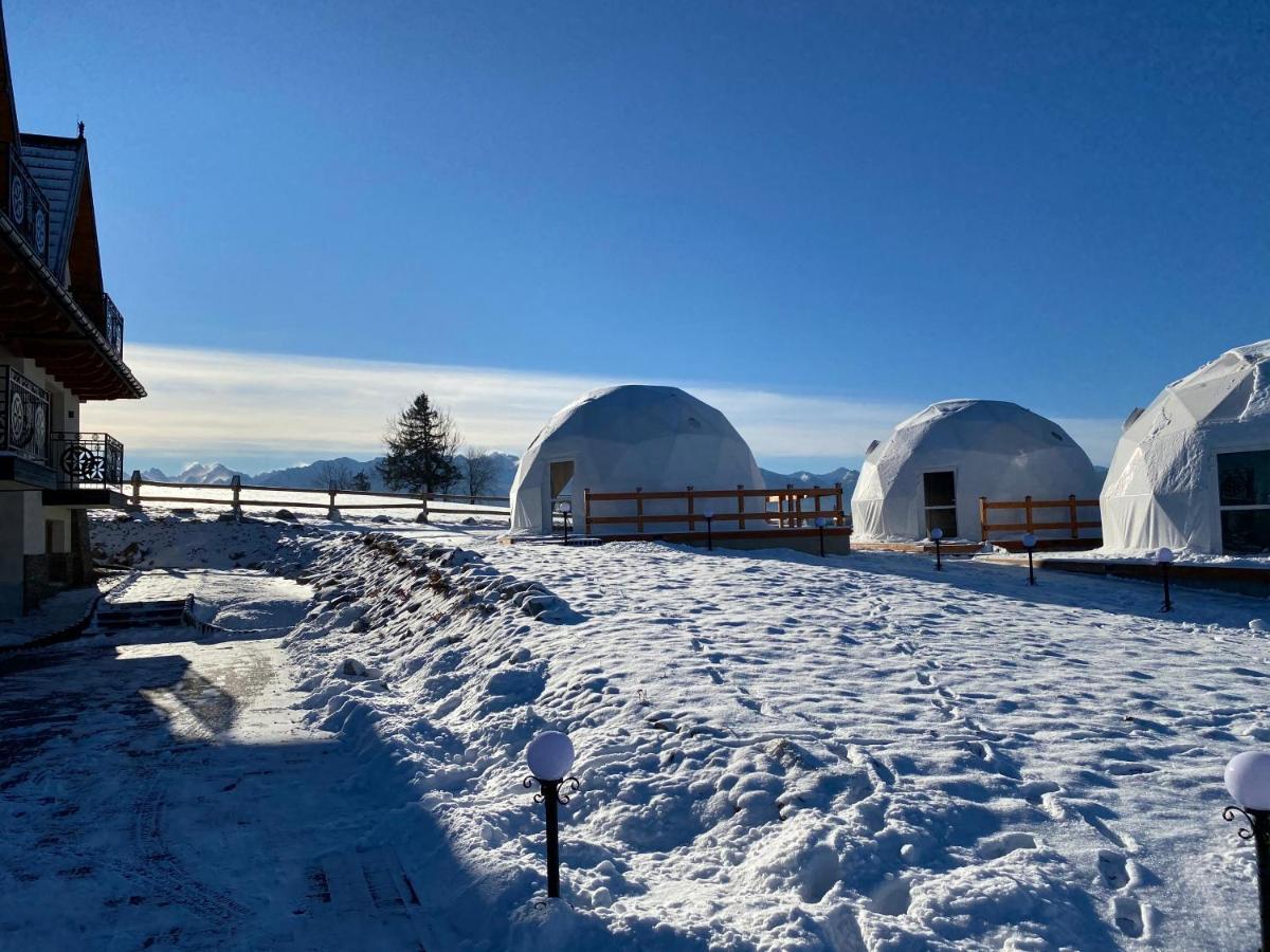 Glamping Pasieka Namiot Glamp Bukowina Tatrzanska - Domki W Gorach Groń Kültér fotó