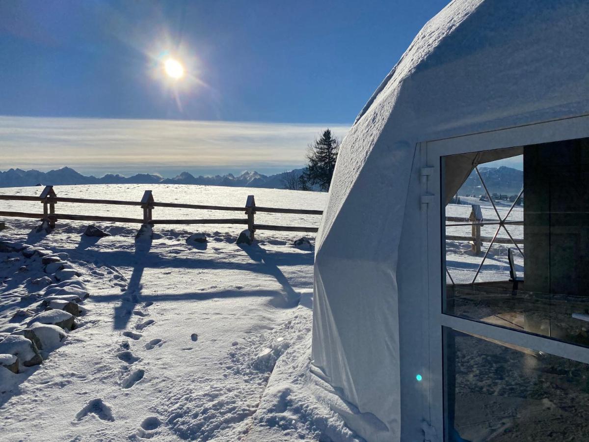 Glamping Pasieka Namiot Glamp Bukowina Tatrzanska - Domki W Gorach Groń Kültér fotó