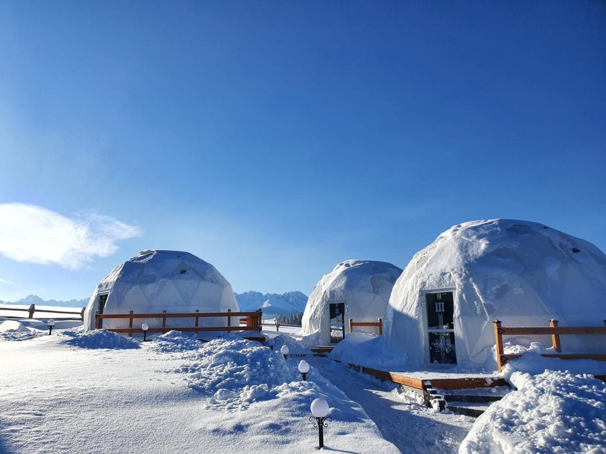 Glamping Pasieka Namiot Glamp Bukowina Tatrzanska - Domki W Gorach Groń Kültér fotó