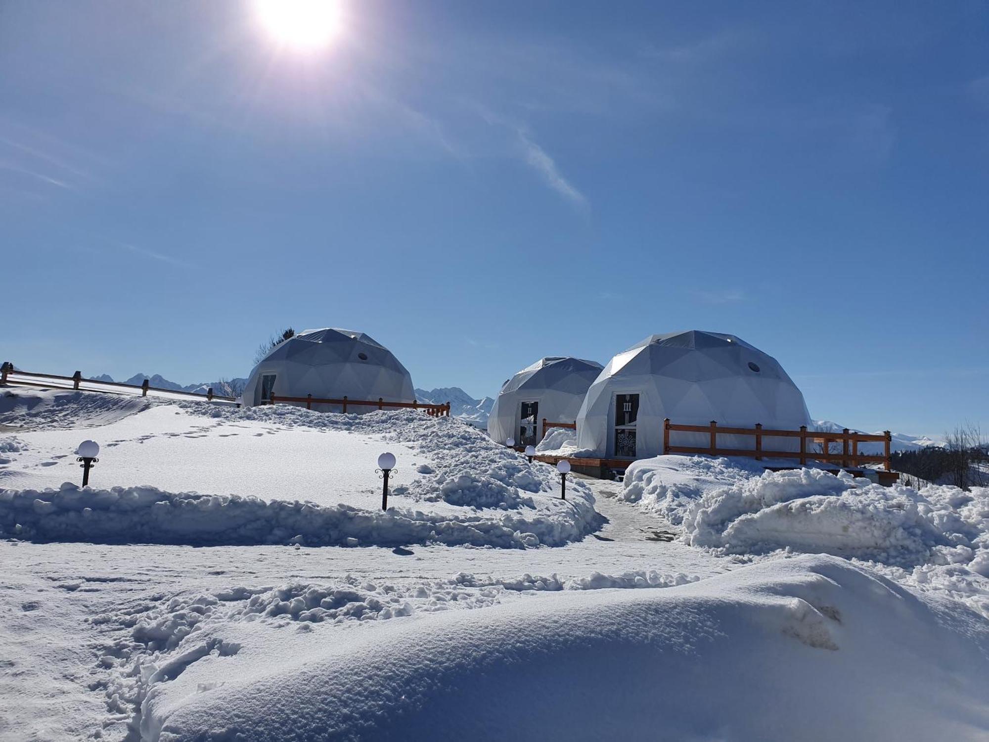 Glamping Pasieka Namiot Glamp Bukowina Tatrzanska - Domki W Gorach Groń Kültér fotó