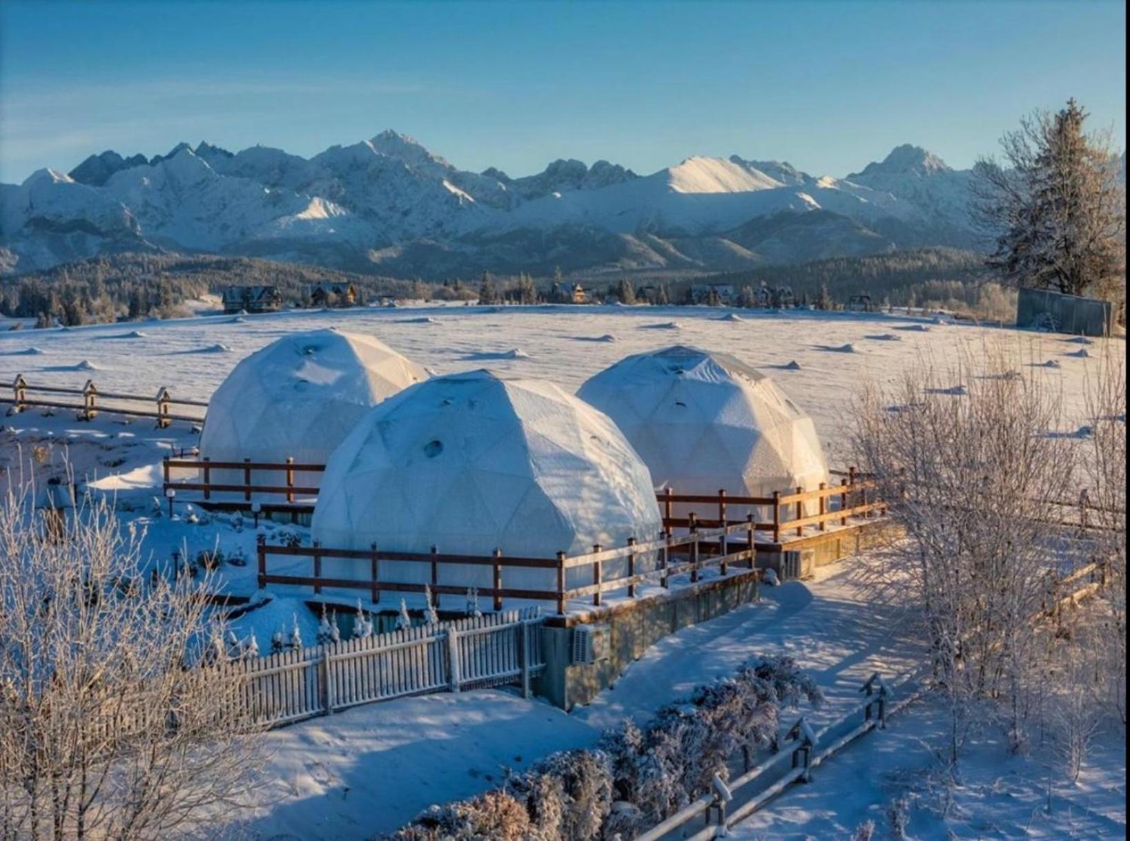 Glamping Pasieka Namiot Glamp Bukowina Tatrzanska - Domki W Gorach Groń Kültér fotó